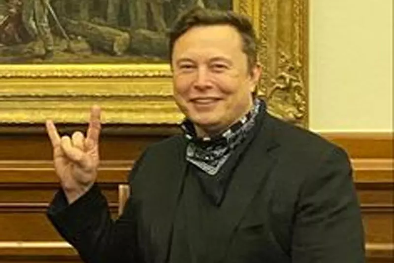Elon Musk Shares Tips For Better Sleep with his Social Media Follower Elon Musk Shares Tips For Better Sleep with his Social Media Follower
