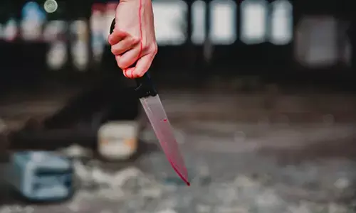 హారన్ కొట్టినా జరగలేదని ఓ బాలిక ఏం చేసిందంటే?