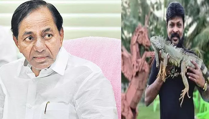 సీఎంను కూడా వదిలిపెట్టను.. సంచలనం రేపుతున్న చికోటి ప్రవీణ్ ట్వీట్? సీఎంను కూడా వదిలిపెట్టను.. సంచలనం రేపుతున్న చికోటి ప్రవీణ్ ట్వీట్?