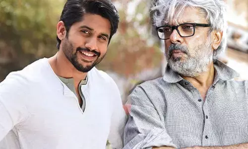 చైతుతో దేవదాసు చేస్తున్న బాలీవుడ్ డైరెక్టర్