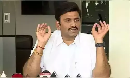 That video seems to be Gorantla madhav, says Raghu Rama Krishna Raju
