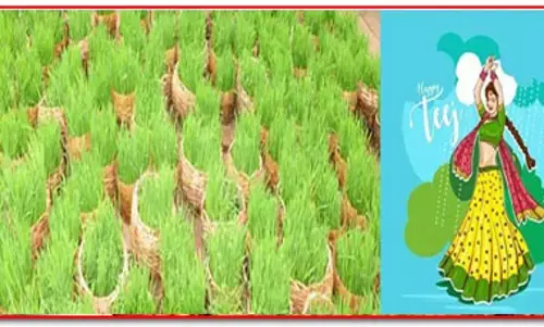 గిరిజనుల ప్రత్యేక పండుగ తీజ్ ఎలా జరుపుకుంటారో తెలుసా?