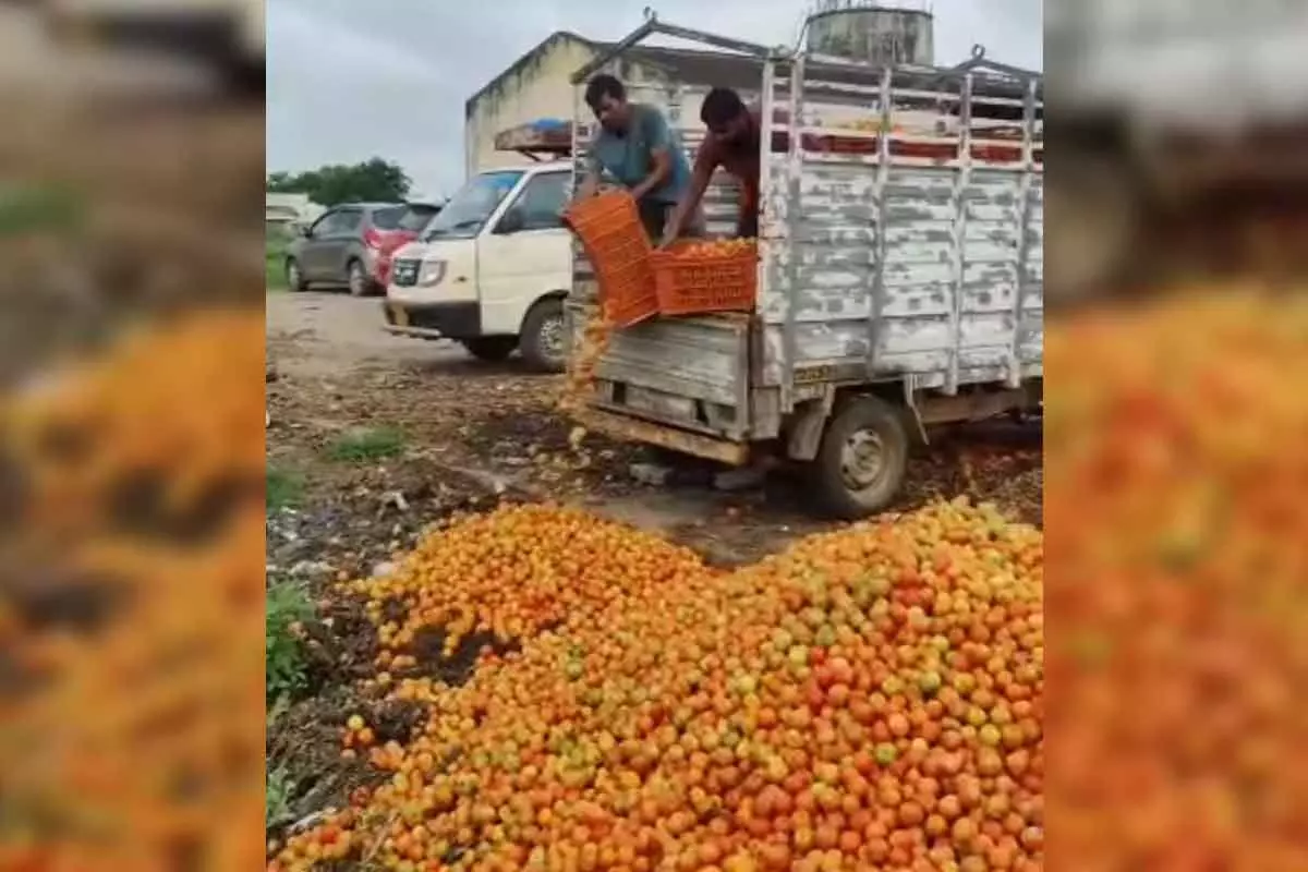 Farmers dump tomatoes on roads as prices crashed In Rangareddy