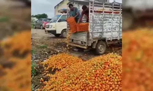 Farmers dump tomatoes on roads as prices crashed In Rangareddy