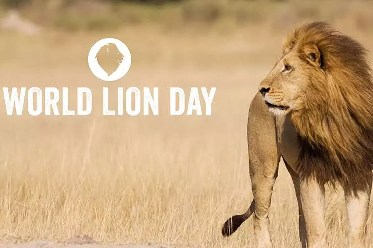 World Lion Day