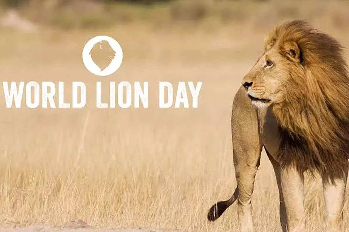 World Lion Day World Lion Day