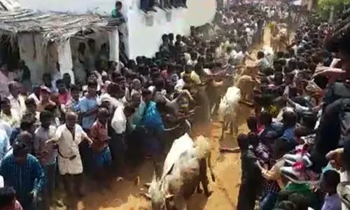 Two killed during Jallikattu in Chittoor