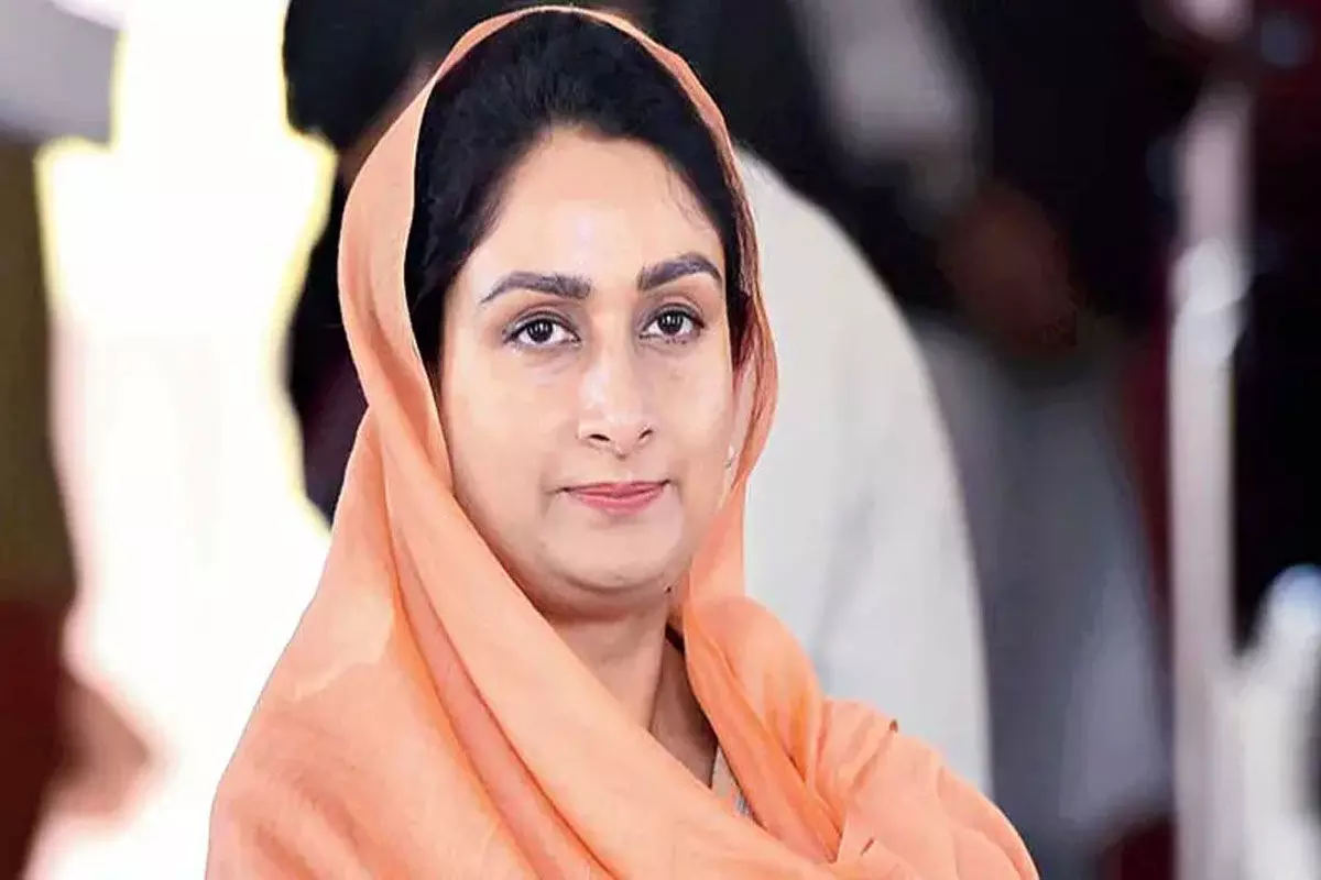 రూ.50వేలు పరిహారం ఇవ్వాలని ముఖ్యమంత్రికి విజ్ఞప్తి రూ.50వేలు పరిహారం ఇవ్వాలని ముఖ్యమంత్రికి విజ్ఞప్తి