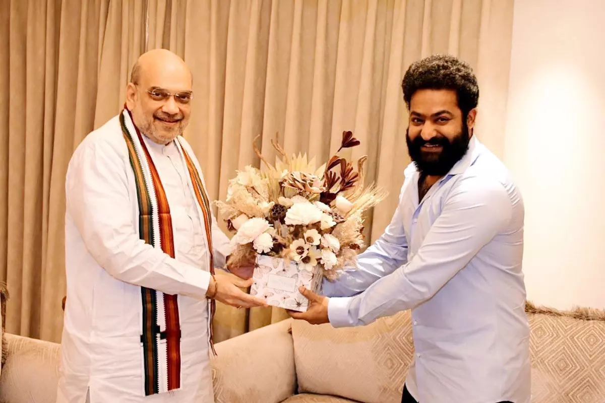 అమిత్ షాతో NTR భేటీ.. పొలిటికల్ ఎంట్రీపై కీలక వ్యాఖ్యలు అమిత్ షాతో NTR భేటీ.. పొలిటికల్ ఎంట్రీపై కీలక వ్యాఖ్యలు