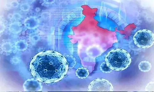 దేశంలో 31చేరిన కరోనా కేసులు..