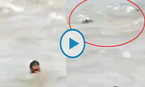 మొస‌ళ్ల మ‌ధ్య‌లో హాహాకారాలు పెడుతూ న‌దిలో బాలుడు..