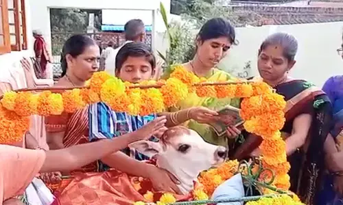 లేగ దూడకు డోలాహరణం.. హాజరైన బంధుమిత్రులు (వీడియో)