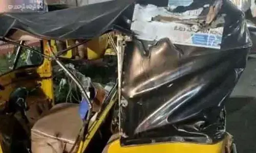 ఆటో బోల్తా..ఇద్దరు మృతి