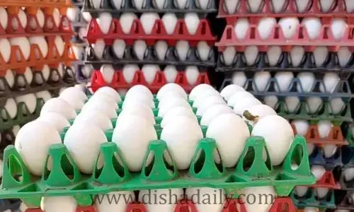 Viral News : కోడిగుడ్ల అమ్ముకునే చిరు వ్యాపారికి రూ.6 కోట్ల పన్ను నోటీసులు