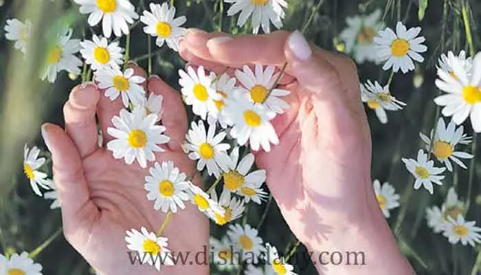 పక్కింట్లో పూలు కోస్తే.. వచ్చే జన్మలో ఎలా పుడుతారో తెలుసా? పక్కింట్లో పూలు కోస్తే.. వచ్చే జన్మలో ఎలా పుడుతారో తెలుసా?