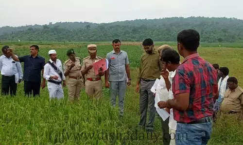 అసలైన అర్హులకే పట్టాలు ఇస్తాం.. జిల్లా పాలనాధికారి జితేష్ వి పాటిల్
