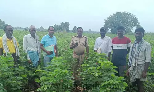 పోడు గోడు తీరేనా...!