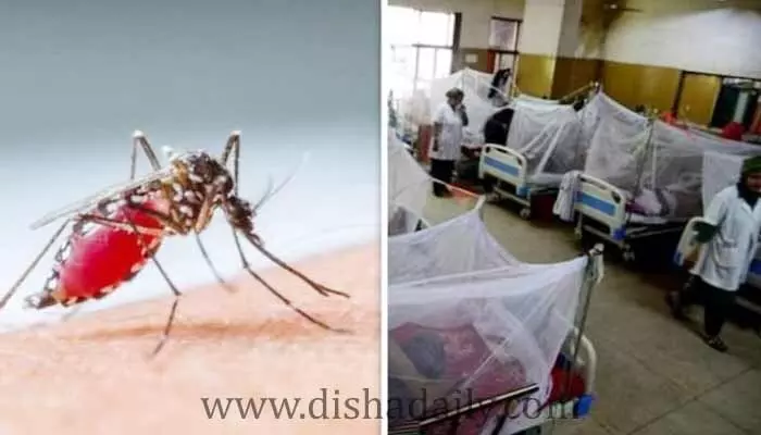 ప్రతీ ఇంట్లో ఒకరికి అనారోగ్యం.. గ్రామాల్లో భయంకరంగా పరిస్థితి! ప్రతీ ఇంట్లో ఒకరికి అనారోగ్యం.. గ్రామాల్లో భయంకరంగా పరిస్థితి!