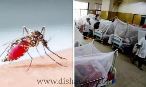 ప్రతీ ఇంట్లో ఒకరికి అనారోగ్యం.. గ్రామాల్లో భయంకరంగా పరిస్థితి!