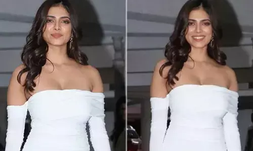 టైటిల్ చూసి బోల్డ్ ఫిల్మ్ అనుకోవద్దు.. బిఎఫ్‌హెచ్పై మాళవిక