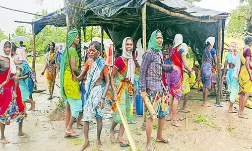 అడవి తల్లి ఒడిలోనే..ఆదివాసీల పోడుగోస