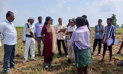 పోడు భూముల సర్వేను సజావుగా చేపట్టాలి