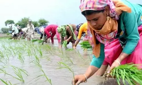 రైతుబంధు అమలు చేసి ఇతర పథకాలెన్ని నిర్వీర్యం చేశారో తెలుసా?