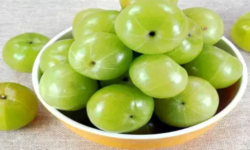 భగవత్ స్వరూపం... ఉసిరి