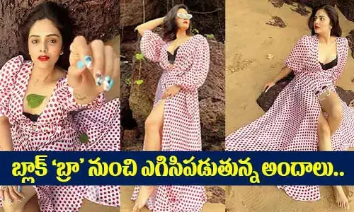 బ్లాక్ బ్రా నుంచి ఎగిసిపడుతున్న అందాలు.. కుర్రాళ్లకు తడిసిపోయిందట:Sreemukhi