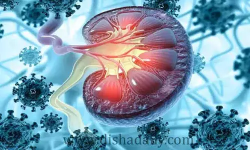 కిడ్నీలకు ప్రాణాంతకంగా హై బ్లడ్ షుగర్ ..Diabetes: