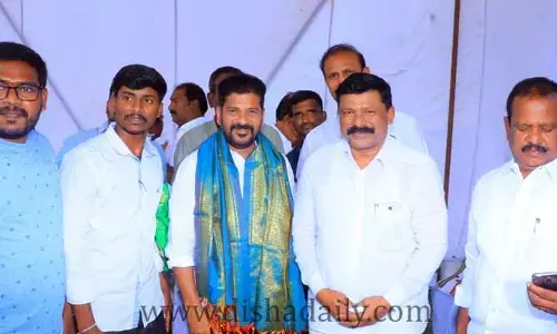 చీమలకే కాంగ్రెస్ టికెట్!..?