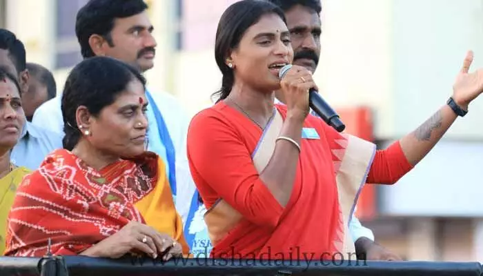 నర్సంపేటకి ఒక్కరూ కాదు ఇద్దరు ఎమ్మెల్యేలు.. షర్మిల షాకింగ్ కామెంట్స్ నర్సంపేటకి ఒక్కరూ కాదు ఇద్దరు ఎమ్మెల్యేలు.. షర్మిల షాకింగ్ కామెంట్స్