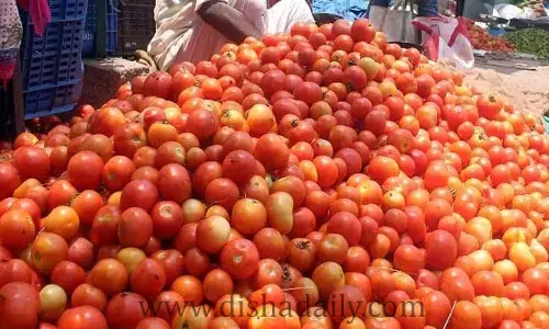 కిలో టమోటా 2 రూపాయలే!