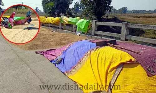 ధాన్యం కుప్పకు బతుకమ్మ చీర!