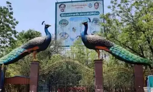 కేబీఆర్ పార్కుకు 24 ఏళ్లు