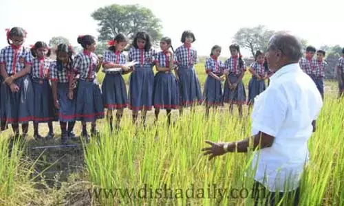 సేంద్రీయ వ్యవసాయ క్షేత్రాన్ని సందర్శించిన విద్యార్థులు