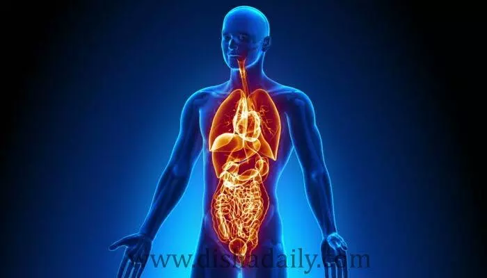 Unknown Facts : బ్రతికి ఉన్న మనిషి చర్మం తీసేస్తే జరిగేది ఇదే.. ! Unknown Facts : బ్రతికి ఉన్న మనిషి చర్మం తీసేస్తే జరిగేది ఇదే.. !