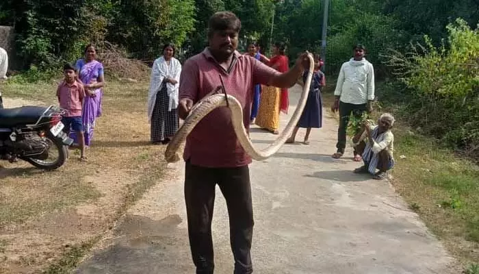 పారిశుద్ధ్య లోపంతో ప్రజల అవస్థలు పారిశుద్ధ్య లోపంతో ప్రజల అవస్థలు
