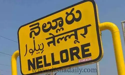 Nelloreలో స్కూళ్లకు సెలవులు.. ప్రభుత్వ ఉద్యోగులకు సెలవులు రద్దు