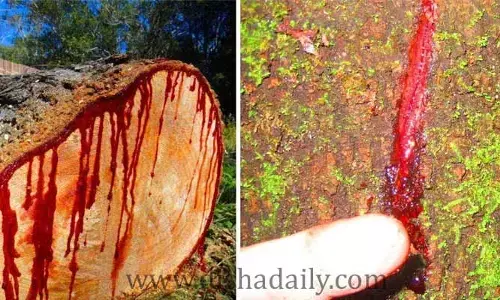 Unknown Facts : వీటిని చదివిన  తర్వాత ఎవరైనా షాక్ అవ్వాలిసిందే !