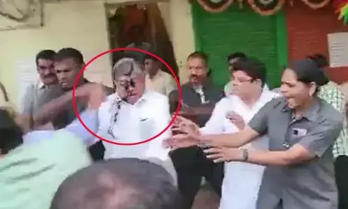 మంత్రిపై సడెన్‌గా ఇంక్ చల్లిన వ్యక్తి... వీడియో