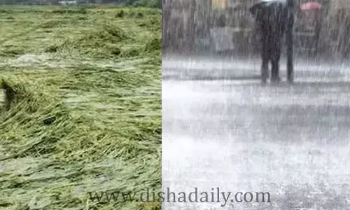 తడిసి ముద్దైన నంద్యాల జిల్లా.. 18.6 మిల్లీ మీటర్ల వర్షం