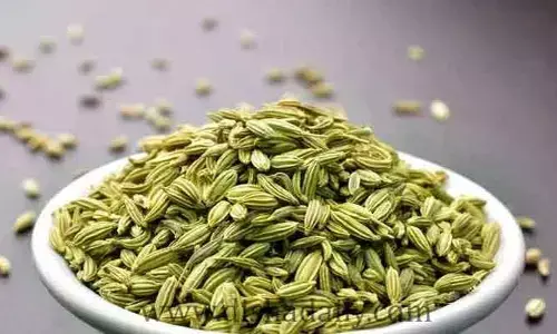 Health : రెస్టారెంట్లో సోంపు ఇవ్వడం వెనుకున్న సీక్రెట్ ఇదే...