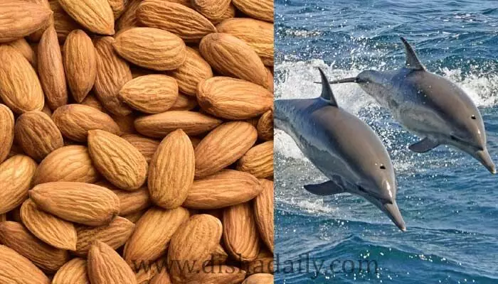 Unknown Facts : ఇవి మీరు చదివితే నిజంగా ఆశ్చర్యపోతారు ! Unknown Facts : ఇవి మీరు చదివితే నిజంగా ఆశ్చర్యపోతారు !
