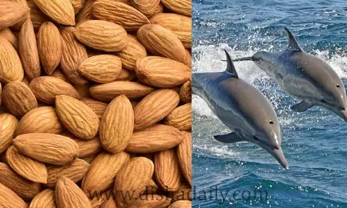 Unknown  Facts  : ఇవి మీరు చదివితే నిజంగా ఆశ్చర్యపోతారు !