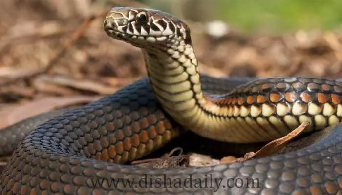 Unknown Facts : ఇలాంటి Facts మీరు అస్సలు విని ఉండరు ! Unknown Facts : ఇలాంటి Facts మీరు అస్సలు విని ఉండరు !