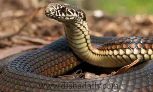 Unknown Facts :  ఇలాంటి  Facts మీరు అస్సలు విని ఉండరు !