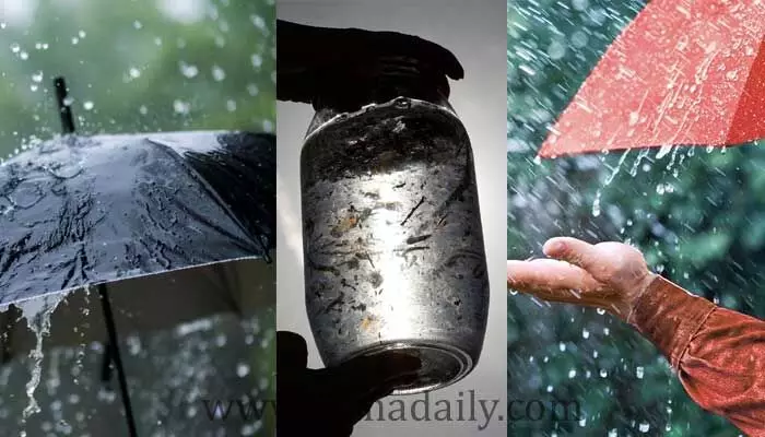 Micro Plastic వర్షం.. భయానక నిజాలు వెల్లడించిన తాజా అధ్యయనం Micro Plastic వర్షం.. భయానక నిజాలు వెల్లడించిన తాజా అధ్యయనం