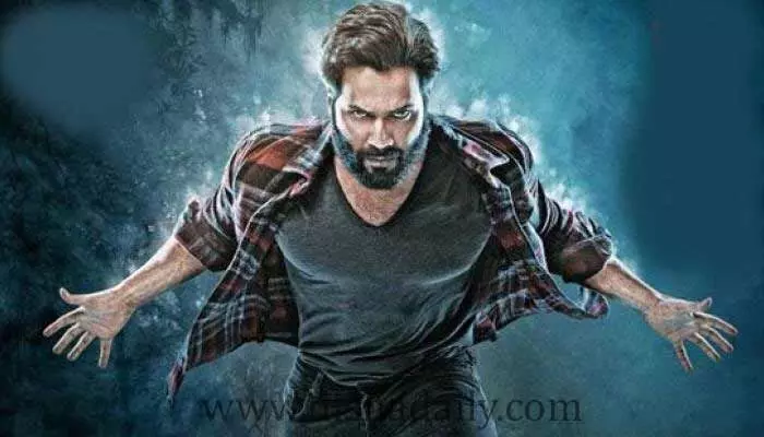 వరుణ్ ధావన్ నటించిన తోడేలు సినిమా డిజాస్టర్గా మిగిలింది! వరుణ్ ధావన్ నటించిన తోడేలు సినిమా డిజాస్టర్గా మిగిలింది!