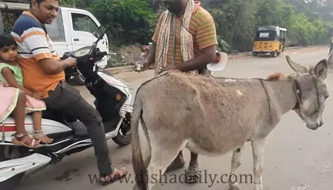 ఖరము పాలు గరిటెడైనను చాలు....